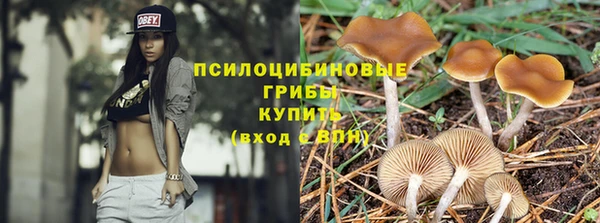 2c-b Алексеевка