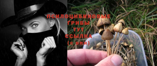 2c-b Алексеевка