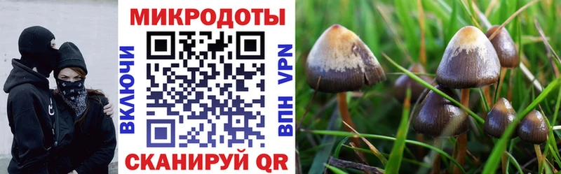 blacksprut рабочий сайт Омск Псилоцибиновые грибы Psilocybine cubensis цены